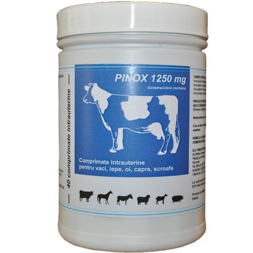 PINOX - 40 BUJIURI SPUMANTE(OXITETRACICLINA 1250MG)