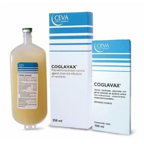 [PROMO] COGLAVAX 250ML 10 + 1 GRATIS