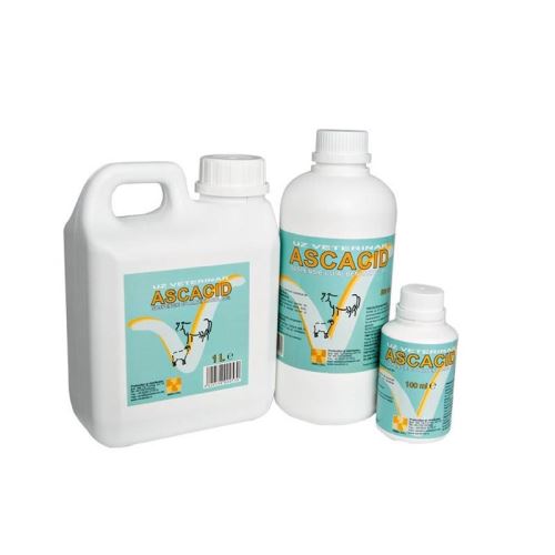 [PROMO] ASCACID 10% 1L 10+1 GRATIS