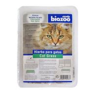 [PROMO] BIOZOO IARBA PISICII 10+1 GRATIS