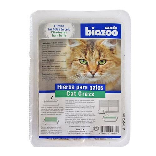 [PROMO] BIOZOO IARBA PISICII 10+1 GRATIS