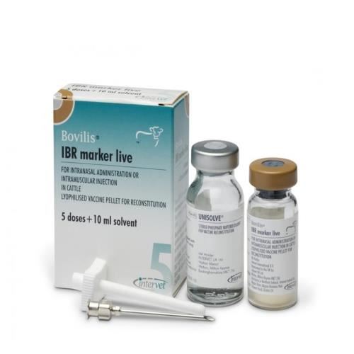 [PROMO] BOVILIS IBR MARKER LIVE 20ML/10DZ 10 FLACOANE CU -15% DISCOUNT + 1 MELOVEM 30 MG/ML 100 ML GRATIS