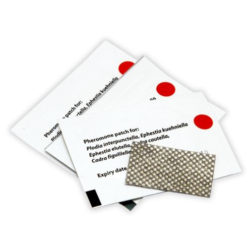 FEROMONI PLASTURE PENTRU MOLII ALIMENTARE P-16003