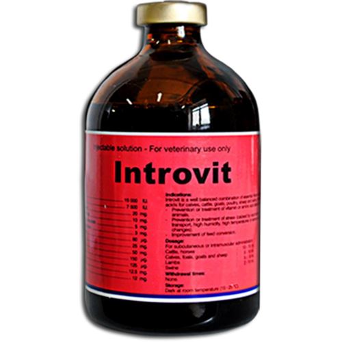 INTROVIT 100 ML PROMO 6+1 VITAMINA AD3E 100 ML GRATIS
