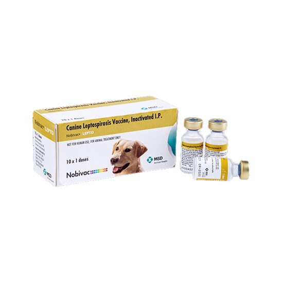 [PROMO] NOBIVAC LEPTO 20 DOZE CU -10 DISCOUNT