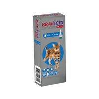 [PROMO] BRAVECTO PLUS SPOT-ON ANTIPARAZITAR INTERN SI EXTERN PISICA 250MG/12.5MG (2.8-6.25KG) 5 CUTII CU -10% DISCOUNT + 1 BRAVECTO SPOT-ON ANTIPARAZITAR EXTERN PISICA 112.5MG (1.2-2.8KG) GRATIS