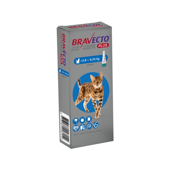 [PROMO] BRAVECTO PLUS SPOT-ON ANTIPARAZITAR INTERN SI EXTERN PISICA 250MG/12.5MG (2.8-6.25KG) 5 CUTII CU -10% DISCOUNT + 1 BRAVECTO SPOT-ON ANTIPARAZITAR EXTERN PISICA 112.5MG (1.2-2.8KG) GRATIS