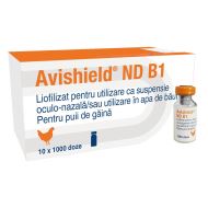 VACCIN GAINI SI PUI DE GAINA AVISHIELD ND B1 HITCHNER 1000DZ(10FL/CUTIE)