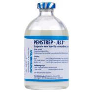 [PROMO] PEN STREP JECT 100ML 10+1 GRATIS