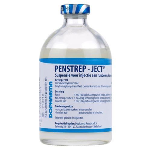 [PROMO] PEN STREP JECT 100ML 10+1 GRATIS