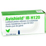 VACCIN GAINI SI PUI DE GAINA AVISHIELD IB H120 B1 1000DZ(10FL/CUTIE)