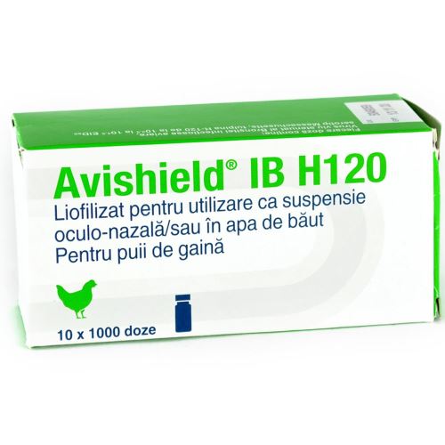 VACCIN GAINI SI PUI DE GAINA AVISHIELD IB H120 B1 1000DZ(10FL/CUTIE)