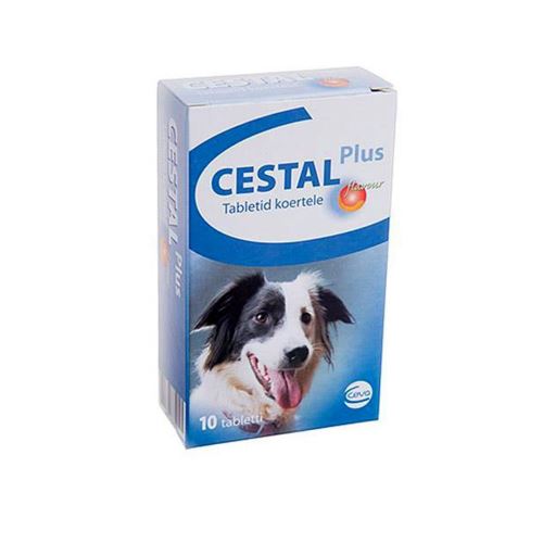 CESTAL PLUS 