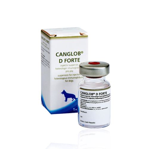 CANGLOB D FORTE 