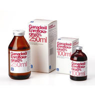 GANADEXIL ENROFLOXACINA 5% 100ML