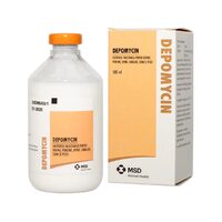 DEPOMYCIN 100ML 
