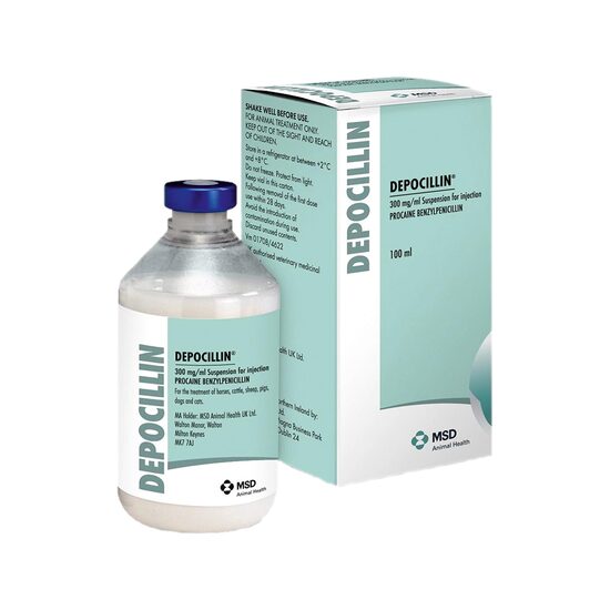 DEPOCILLIN 100ML 