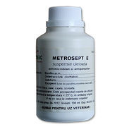 METROSEPT E 100ML - inactiv