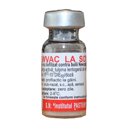 NEWVAC LA SOTA 50 DZ