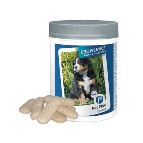PET PHOS SPECIAL GRAND CHIEN 100TB 