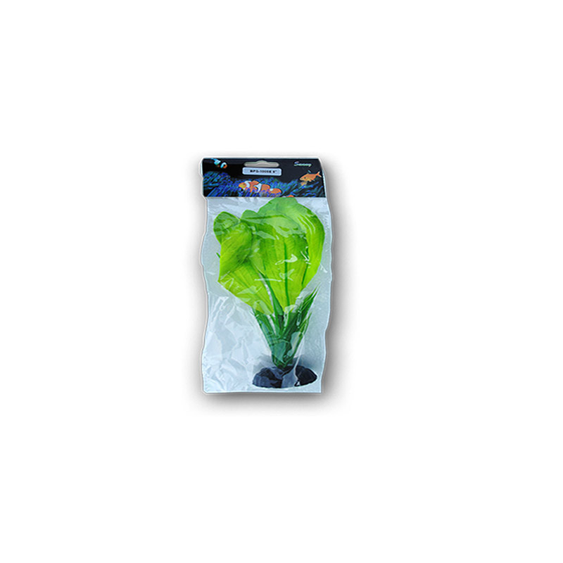 PLANTE MATASE 20CM 