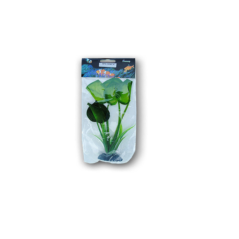 PLANTE MATASE 20CM 