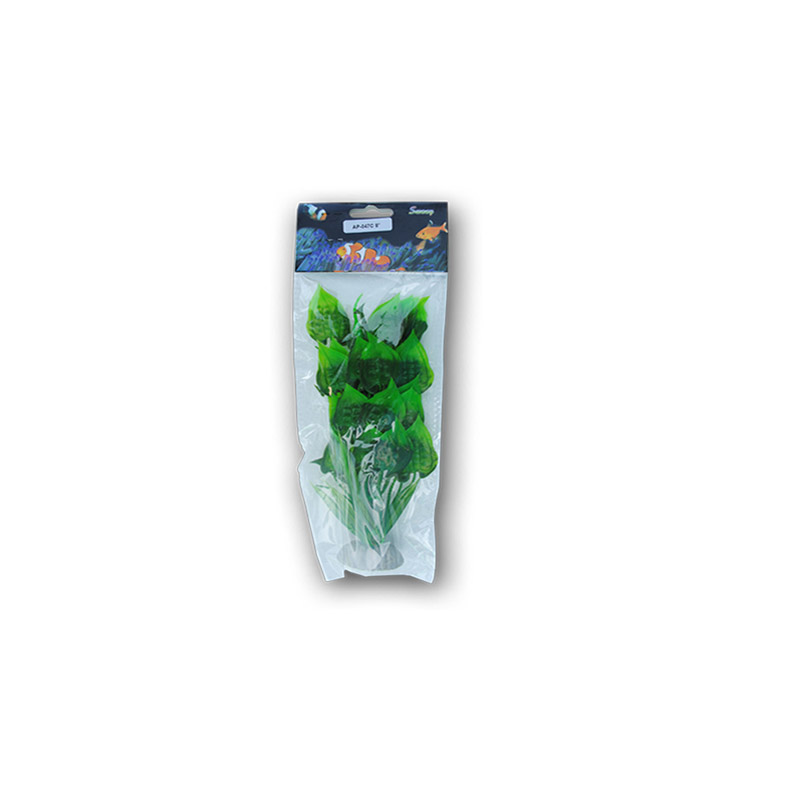PLANTE MATASE 30CM 