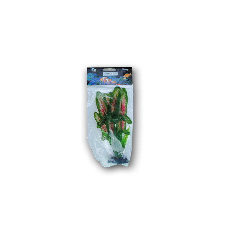 PLANTE MATASE 
