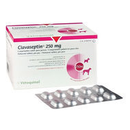 CLAVASEPTIN 250MGX10TB