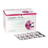 CLAVASEPTIN 500MGX10TB